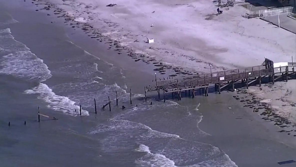 Aerial view of Helene damage in Tampa Bay